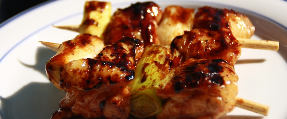 oudiner3
